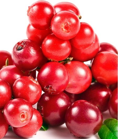Os benefícios do Cranberry